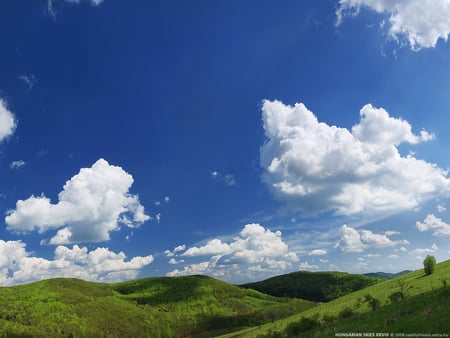 Hungarian skies - green, sky, grass, blue