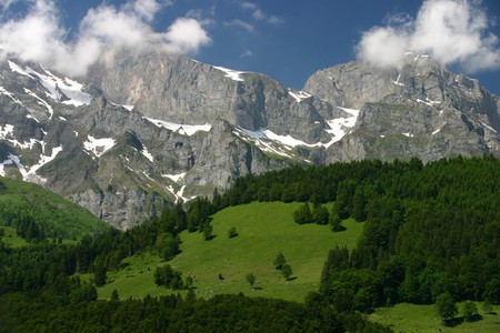 Snowy mountains - forest, mountains, sesons, blue, sky, clouds, trees, nature, green