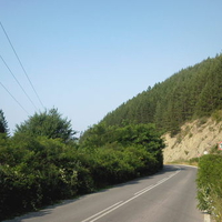 ROAD