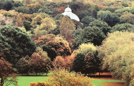 Colours of Fall - lots of colour in trees, glass house, white top, green lawn