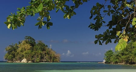 Tropical Dream - branches, sky, ocean, beach, clouds, island, leaves, rocks