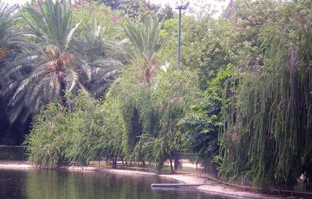 Park and pond - flowers, pond, nature, park