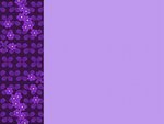 Left purple border