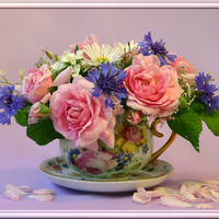 still life