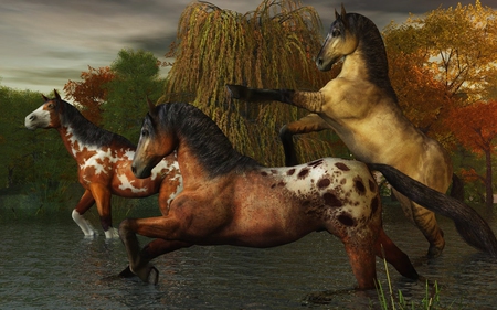 Horses - horses, water, brown, vue