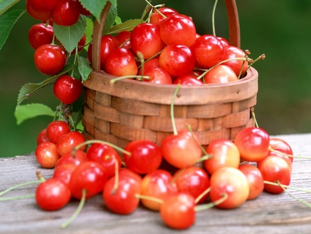 Cherry basket - basket, food, cherry, fruit