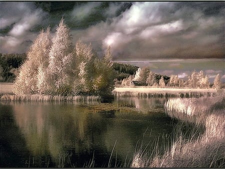 Winter first touch - cloudy grey sky, pines, trees, winter, snow, frost, lake