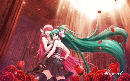 Hatsune Miku & Megurine Luka - Magnet - miku, rose, vocaloids, song, megurine, red rose, megurine luka, red, cool, headphones, awesome, flowers, vocaloid, thighhighs, anime, twintail, petals, butterfly, sunlight, blue eyes, hatsune, cute, beautiful, black dress, pink hair, luka, magnet, blue hair, pretty, beauty, dress, building, nice, headset, music, hatsune miku, sunshine