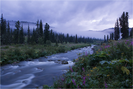 Misty day - clouds, trees, water, fog, landscape, grass, forest, river, mist, overcast, mountains, rocks