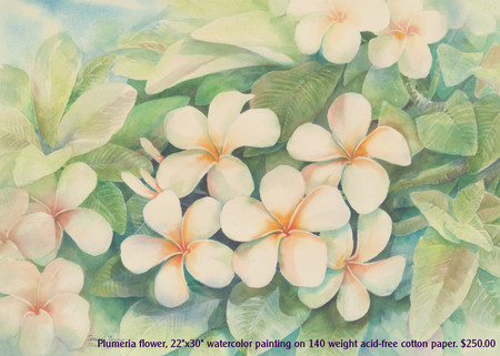 plumeria - flowers, water colors, nature, abstact, paintings