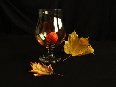 Autumn still life 4 - black bacground, glass, autumn fall, art photo, composition, still life