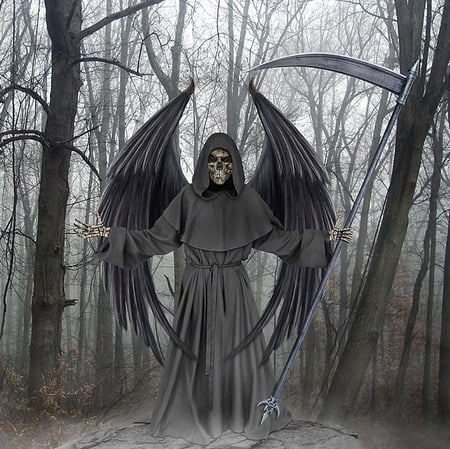 Angel of Death - halloween, death, dark, angel, woods, skelton, evil, robe