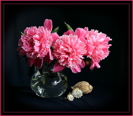 pretty pink still life - glass vase, water, seashells, art photo, pink flowers, still life, composition