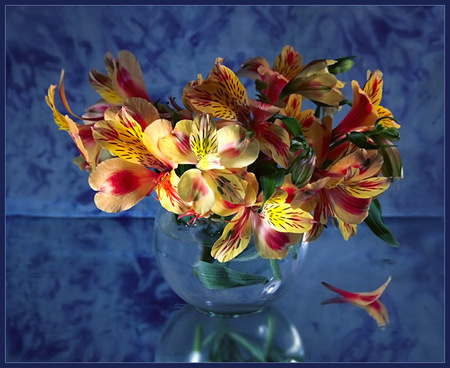 still life - art photo, beautiful, full colours flowers, still life, glass vase