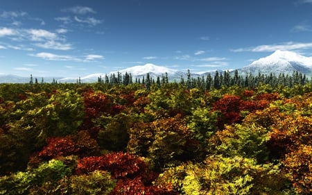 Autumn Forest - sky, forests, mountains, nature, covered, snow, beautiful, clouds, blue, colors