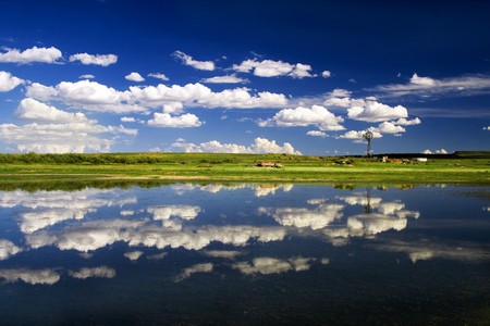 hougaard - cloud, forest, water, beach, grass, blue, white, sky, tree, nature, green