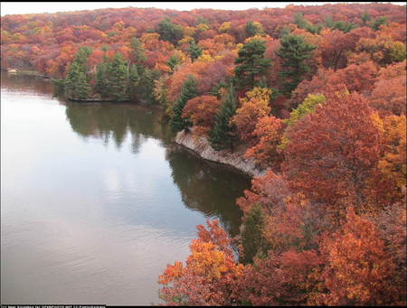 Autumn on the river - trees, water, rivers, beauty, sesons, forest, colours, nature, places