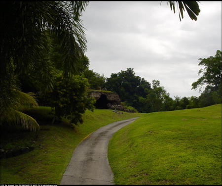 The path I chose - nature, sky, places, green, grass, path, sesons