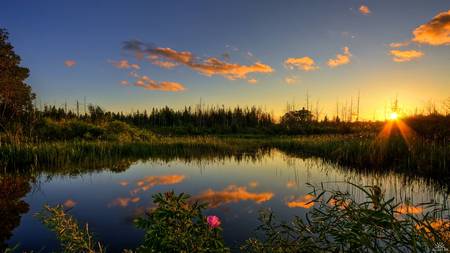 Sunset in the forest - nature, beautiful, evening, landscape, colourful, sun