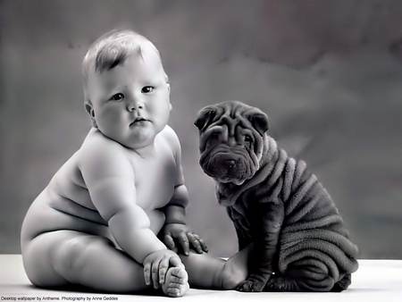 Any similarities? - beauty, funny, baby, dog