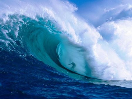 Surfer In Hawai