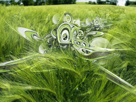 Wheat_field - cloud, tree, nature, abstract, green, grass