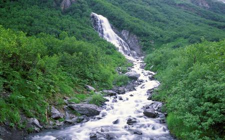 Summer Stream - stream, beauty, summer, waterfall