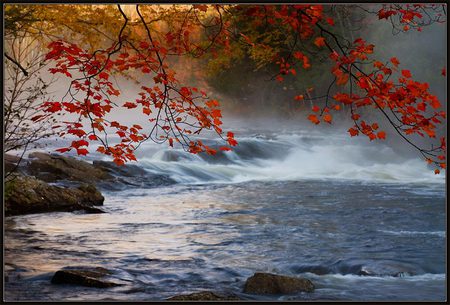 bubbling stream - nature, autumn, fall, art photo, stream, water