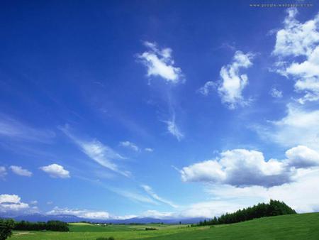 Blue Sky - blue sky, field, grass, nature