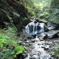 Nature waterfall