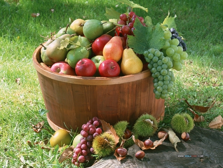 basket of fruits - apple, grape, fruit, basket, food, vegetable