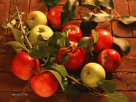 Delicious apples - apple, food, vegetable, fruit