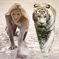 Lady Tiger
