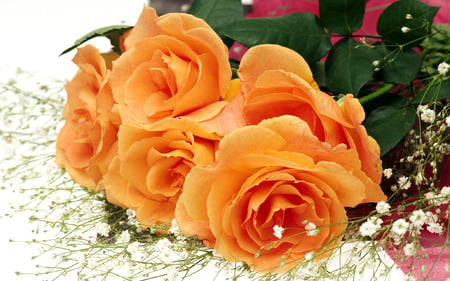 Orange rose bouquet - nature, pretty, bouquet, still life, flower