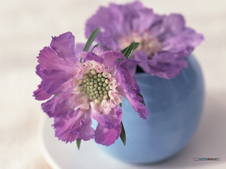 Purple bouquet - flower, purple, pretty, bouquet, still life, nature