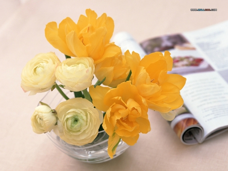 Yellow flowers and magazin - flower, pretty, bouquet, still life, nature