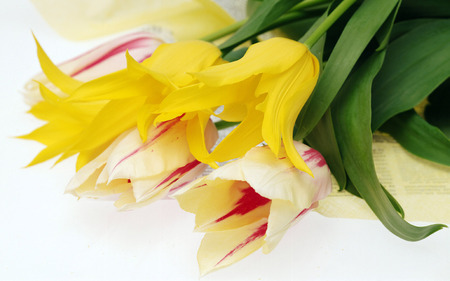 Sweet bouquet - flower, pretty, bouquet, yellow, still life, nature