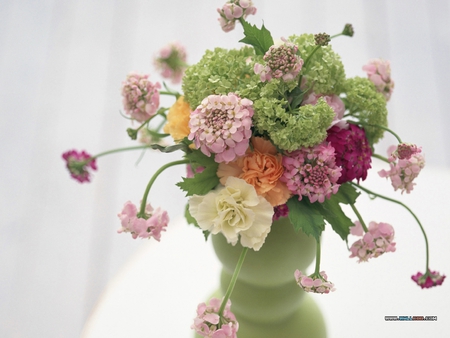 Flowers in vase - flower, pretty, bouquet, still life, nature