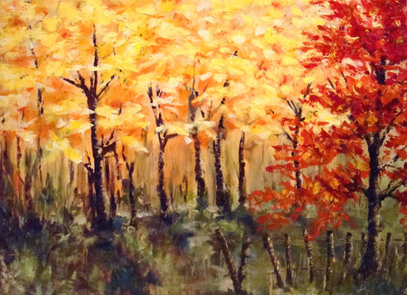 Fall Trees - trees, yellow, orange, flowers, fall, nature, red, green, oil paintings