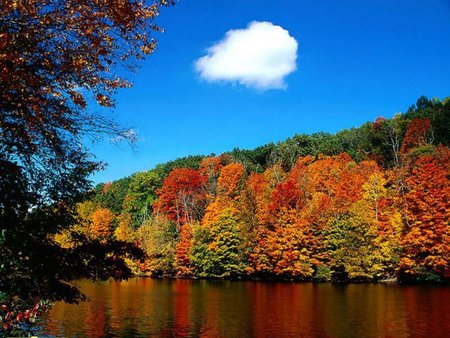 Autumn scene - sky, lake, tree, season, autumn