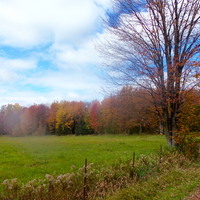 wisconsin fall