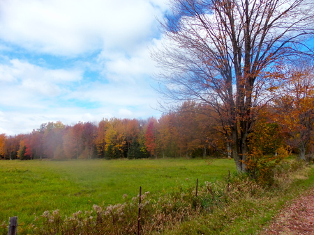 wisconsin fall - fields, wisconsin, autumn, country