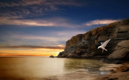 Simply Beautiful - bird, birds, beach, freedom, free, seagull, sky, clouds, beautiful, sea, beauty, colors, lovely, ocean, colorful, nature, sunset, peaceful, rocks