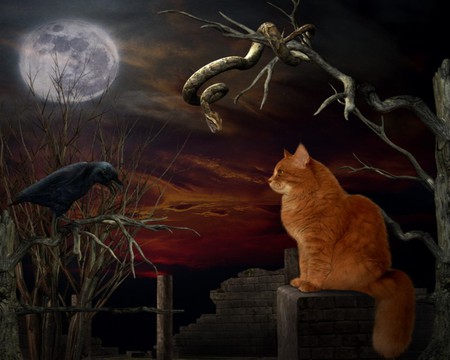 CAT BIRD & SERPENT - moon, bird, serpent, cat