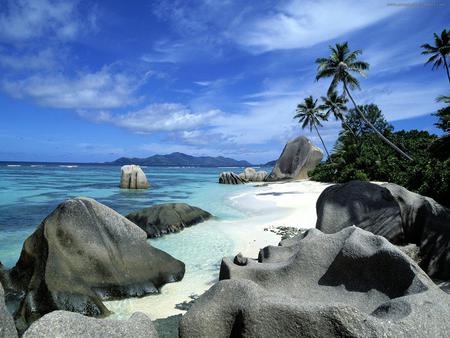 Beach - beach, palms, blue sky, sea, rocks