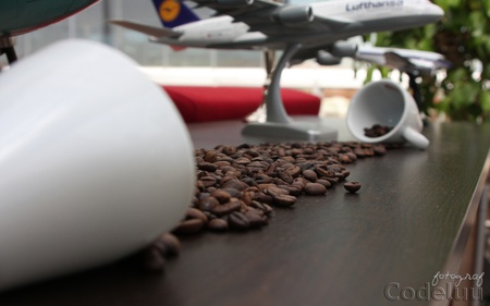 Coffee Break - break, coffee cup, table, coffee