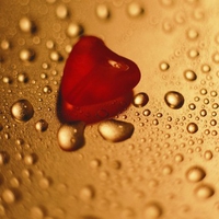 Red Heart And Drops