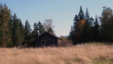 Sad and Alone - trees, grass, washington, home, mountain, fall, autumn, old, farm house, hay, field, sky