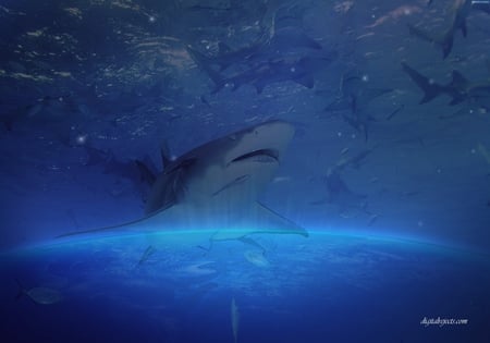 deep blue - space, blue, shark, ocean, cool