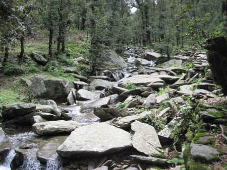 river in forest - clouds, rivers, mamdi photos, clouds on mountain, kullu, forests, nature, vijay, hill station, mandi, himachal photos, its the nature, mountains, my birth place